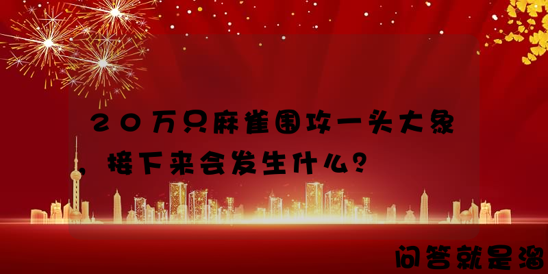 20万只麻雀围攻一头大象，接下来会发生什么？