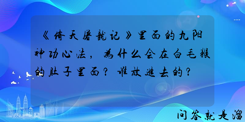 《倚天屠龙记》里面的九阳神功心法，为什么会在白毛猴的肚子里面？谁放进去的？