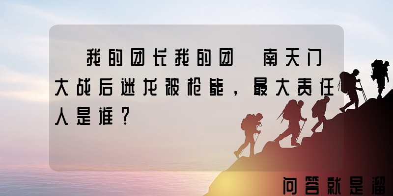 《我的团长我的团》南天门大战后迷龙被枪毙，最大责任人是谁？