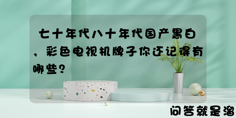 七十年代八十年代国产黑白，彩色电视机牌子你还记得有哪些？