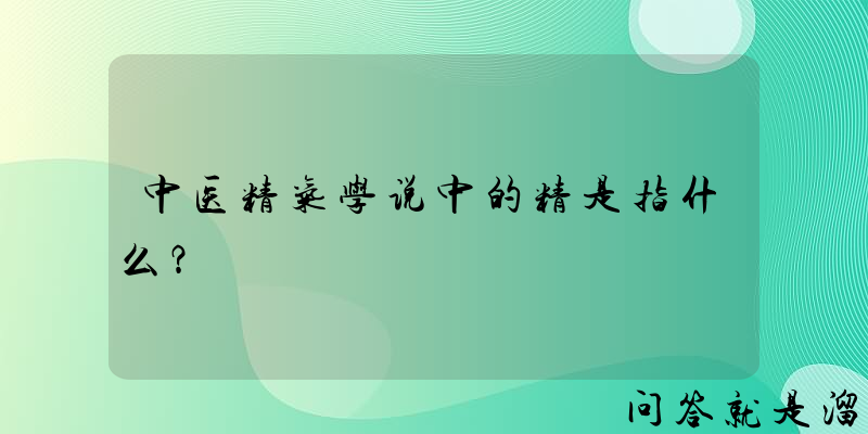 中医精气学说中的精是指什么？