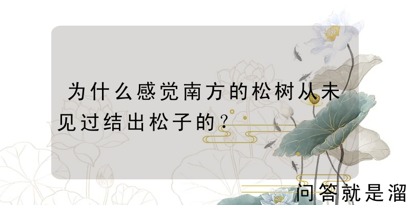 为什么感觉南方的松树从未见过结出松子的？