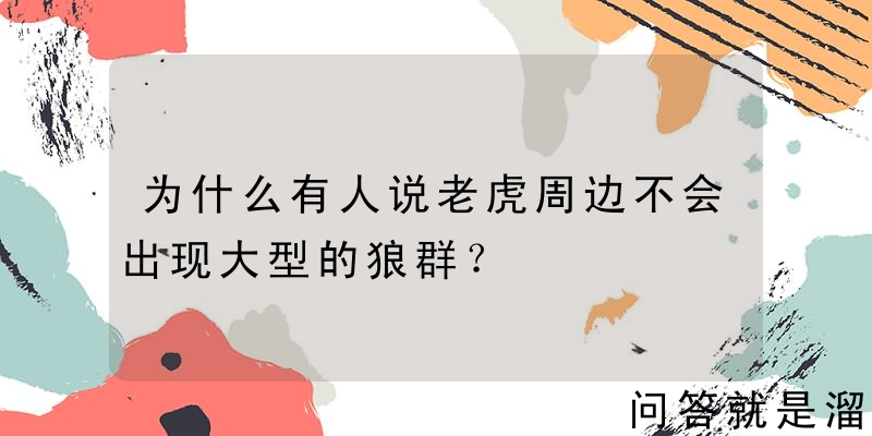 为什么有人说老虎周边不会出现大型的狼群？