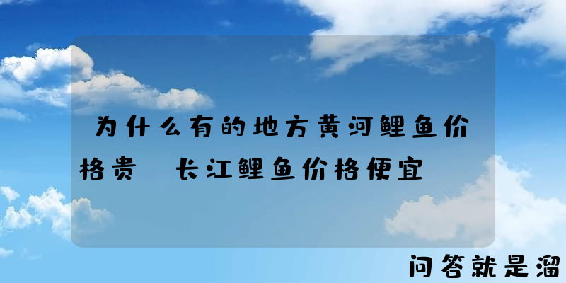 为什么有的地方黄河鲤鱼价格贵，长江鲤鱼价格便宜？