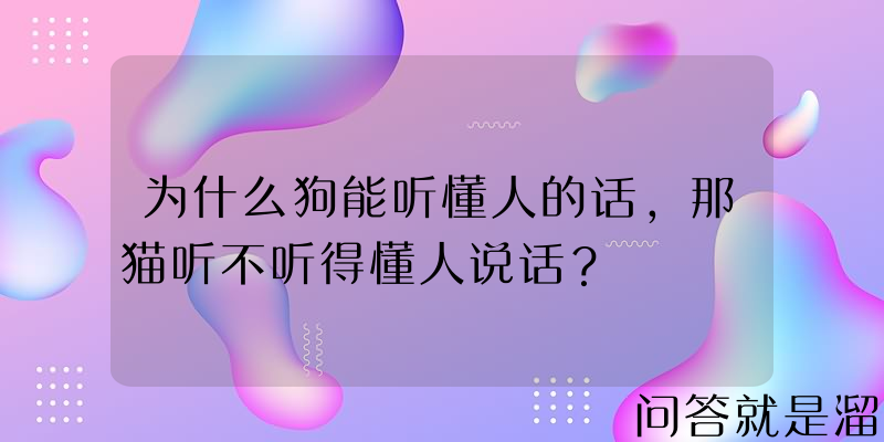 为什么狗能听懂人的话，那猫听不听得懂人说话？