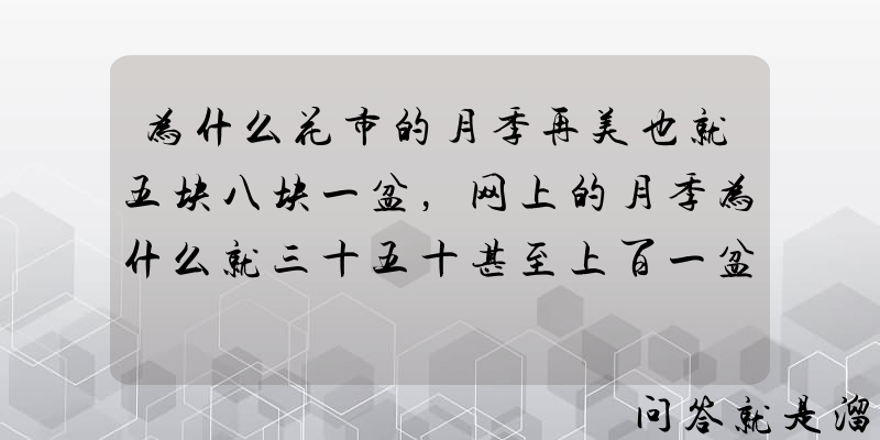 为什么花市的月季再美也就五块八块一盆，网上的月季为什么就三十五十甚至上百一盆？