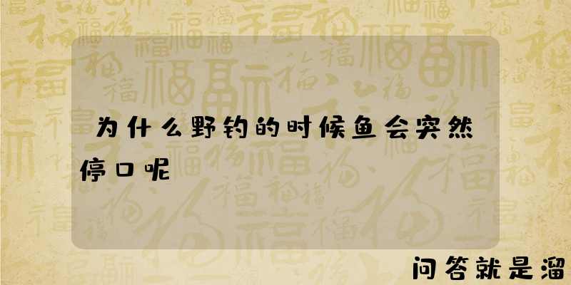 为什么野钓的时候鱼会突然停口呢？