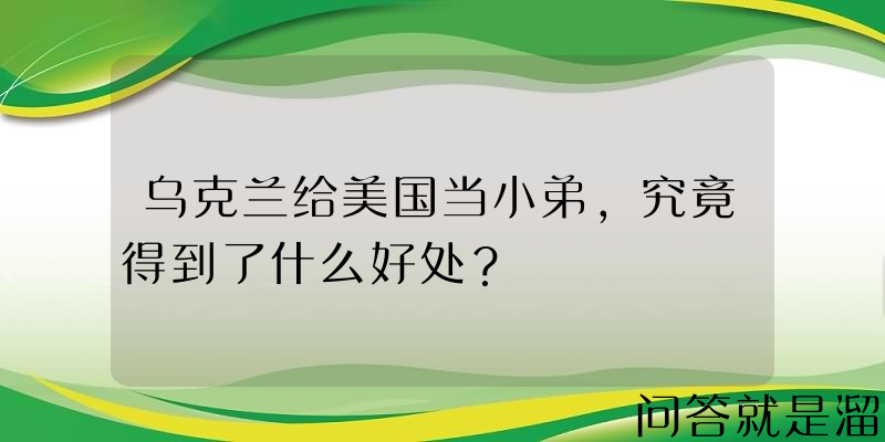 乌克兰给美国当小弟，究竟得到了什么好处？