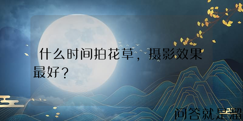 什么时间拍花草，摄影效果最好？