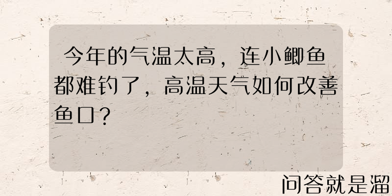 今年的气温太高，连小鲫鱼都难钓了，高温天气如何改善鱼口？