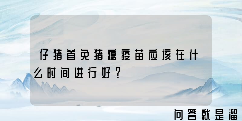 仔猪首免猪瘟疫苗应该在什么时间进行好？