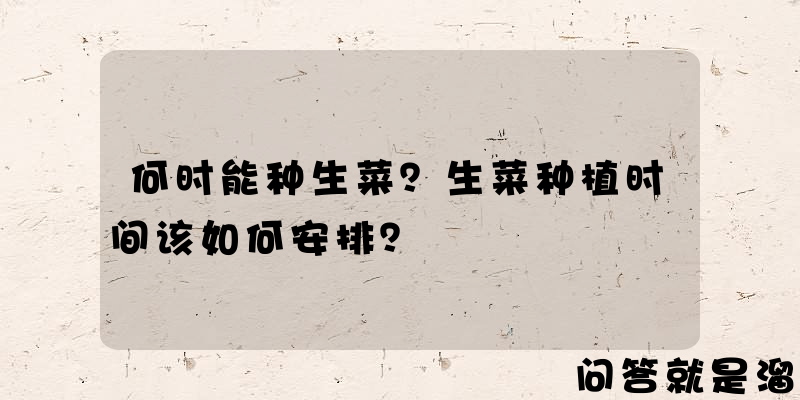 何时能种生菜？生菜种植时间该如何安排？