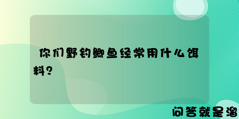 你们野钓鲫鱼经常用什么饵料？