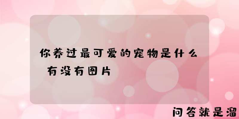 你养过最可爱的宠物是什么？有没有图片？