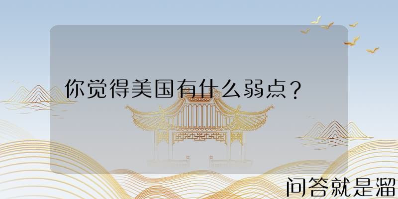 你觉得美国有什么弱点？