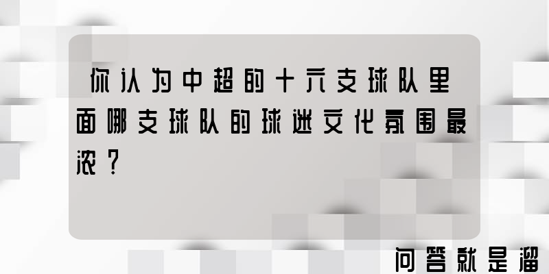 你认为中超的十六支球队里面哪支球队的球迷文化氛围最浓？