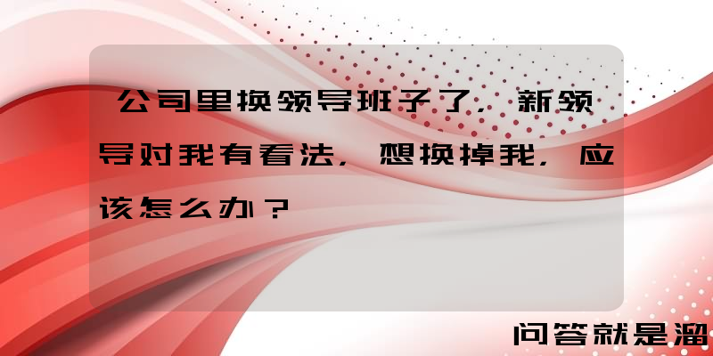 公司里换领导班子了，新领导对我有看法，想换掉我，应该怎么办？