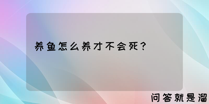 养鱼怎么养才不会死？