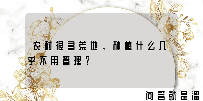 农村很多荒地，种植什么几乎不用管理？