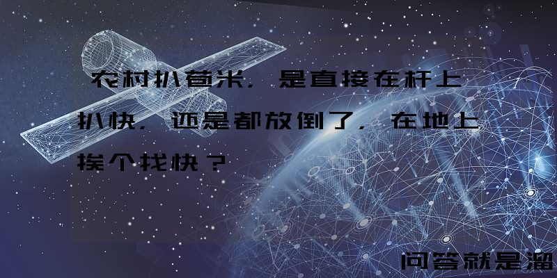 农村扒苞米，是直接在杆上扒快，还是都放倒了，在地上挨个找快？