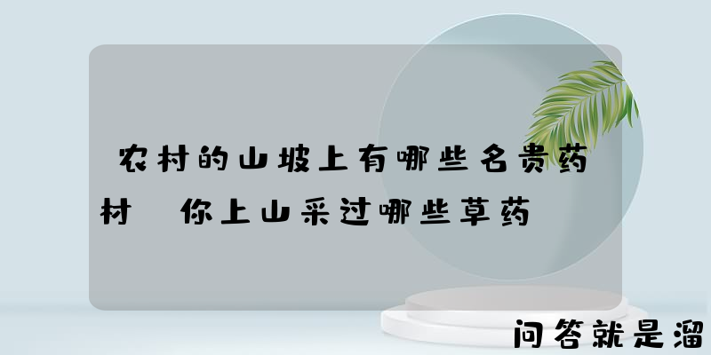 农村的山坡上有哪些名贵药材？你上山采过哪些草药？