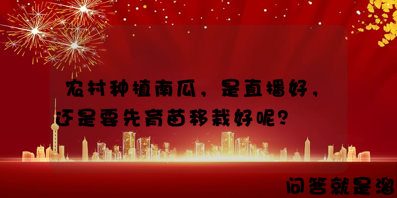 农村种植南瓜，是直播好，还是要先育苗移栽好呢？