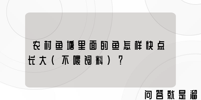 农村鱼塘里面的鱼怎样快点长大（不喂饲料）？