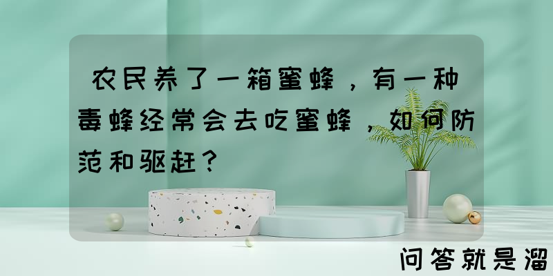 农民养了一箱蜜蜂，有一种毒蜂经常会去吃蜜蜂，如何防范和驱赶？