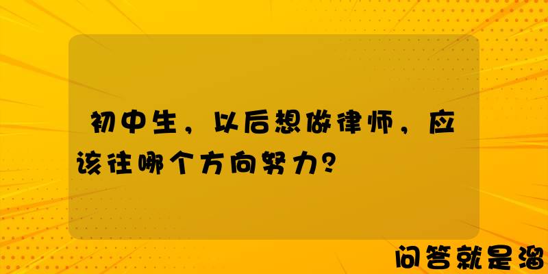 初中生，以后想做律师，应该往哪个方向努力？