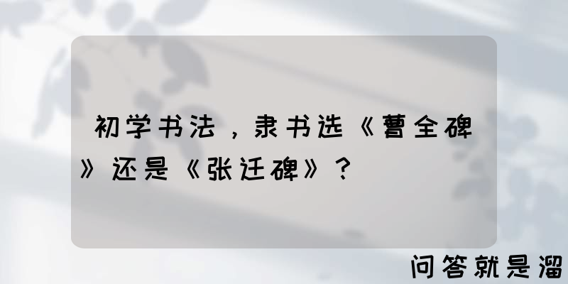 初学书法，隶书选《曹全碑》还是《张迁碑》？