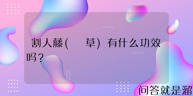 割人藤(葎草)有什么功效吗？