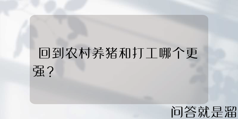 回到农村养猪和打工哪个更强？