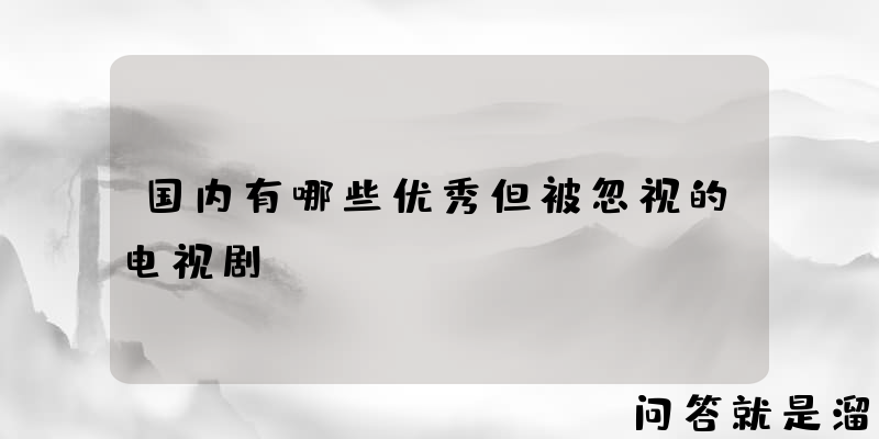 国内有哪些优秀但被忽视的电视剧？