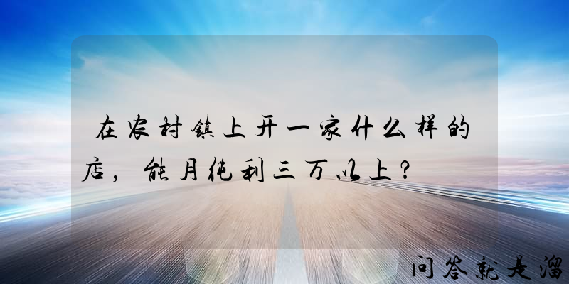 在农村镇上开一家什么样的店，能月纯利三万以上？