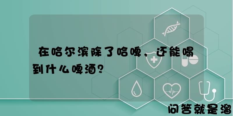 在哈尔滨除了哈啤，还能喝到什么啤酒？