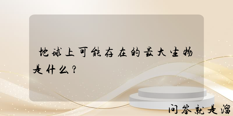 地球上可能存在的最大生物是什么？