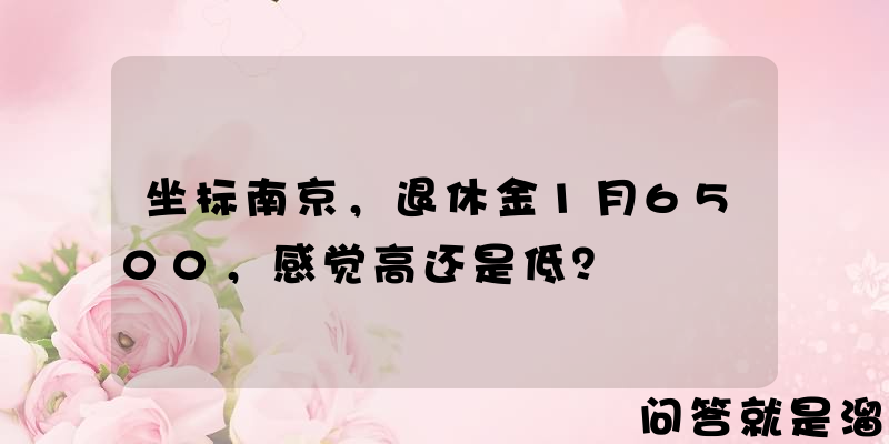 坐标南京，退休金1月6500，感觉高还是低？