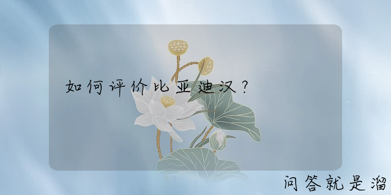 如何评价比亚迪汉？