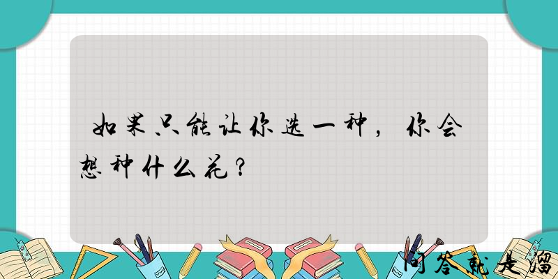 如果只能让你选一种，你会想种什么花？