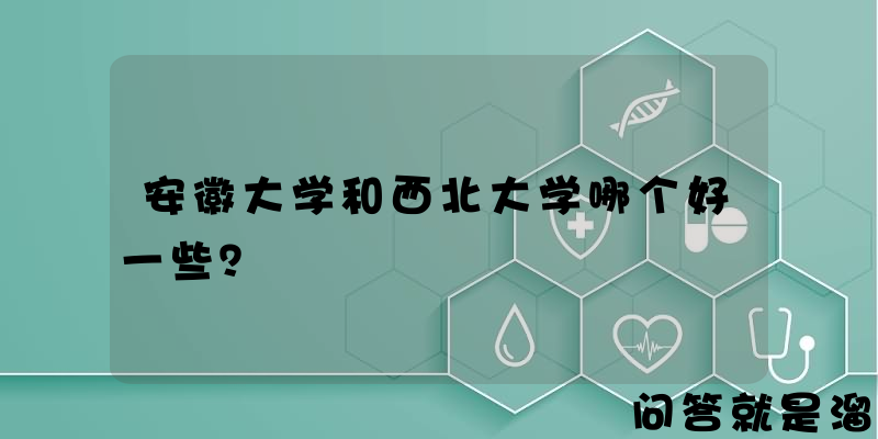 安徽大学和西北大学哪个好一些？