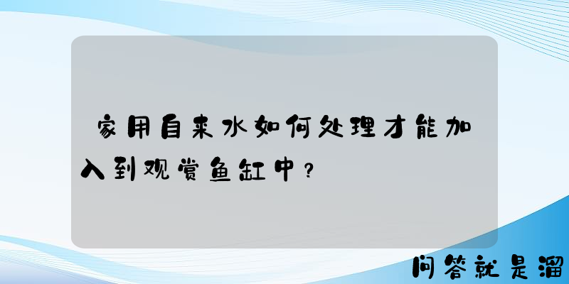 家用自来水如何处理才能加入到观赏鱼缸中？