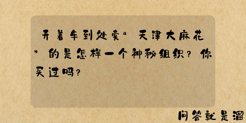 开着车到处卖“天津大麻花”的是怎样一个神秘组织？你买过吗？