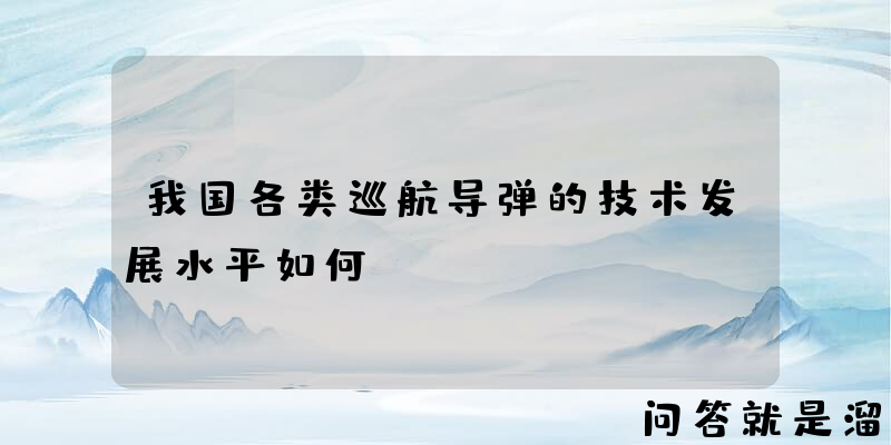 我国各类巡航导弹的技术发展水平如何？