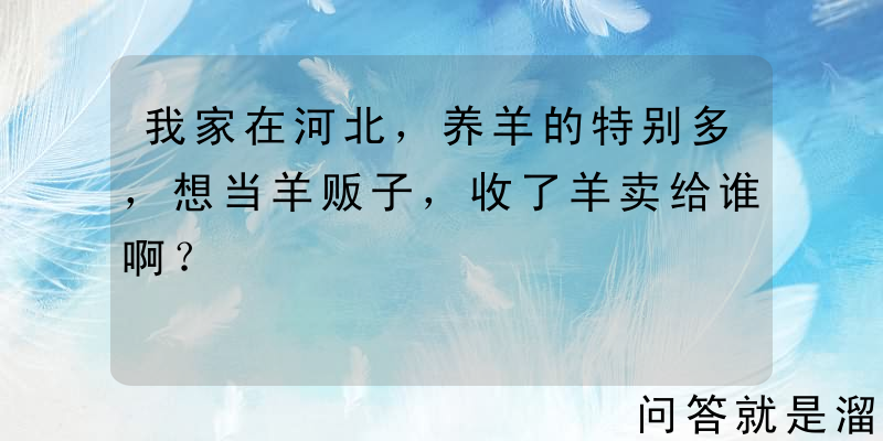 我家在河北，养羊的特别多，想当羊贩子，收了羊卖给谁啊？