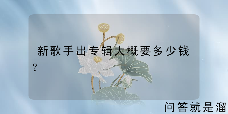 新歌手出专辑大概要多少钱？