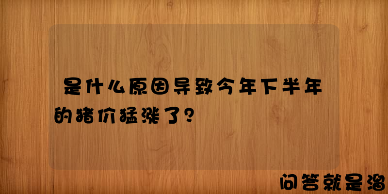 是什么原因导致今年下半年的猪价猛涨了？