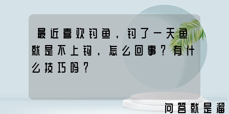 最近喜欢钓鱼，钓了一天鱼就是不上钩，怎么回事？有什么技巧吗？