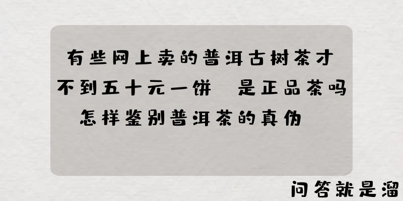 有些网上卖的普洱古树茶才不到五十元一饼，是正品茶吗？怎样鉴别普洱茶的真伪？