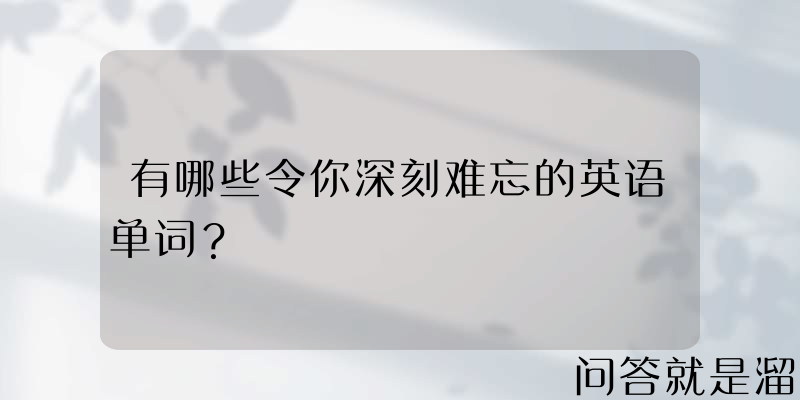 有哪些令你深刻难忘的英语单词？