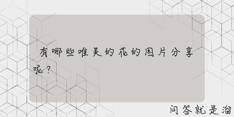 有哪些唯美的花的图片分享呢？